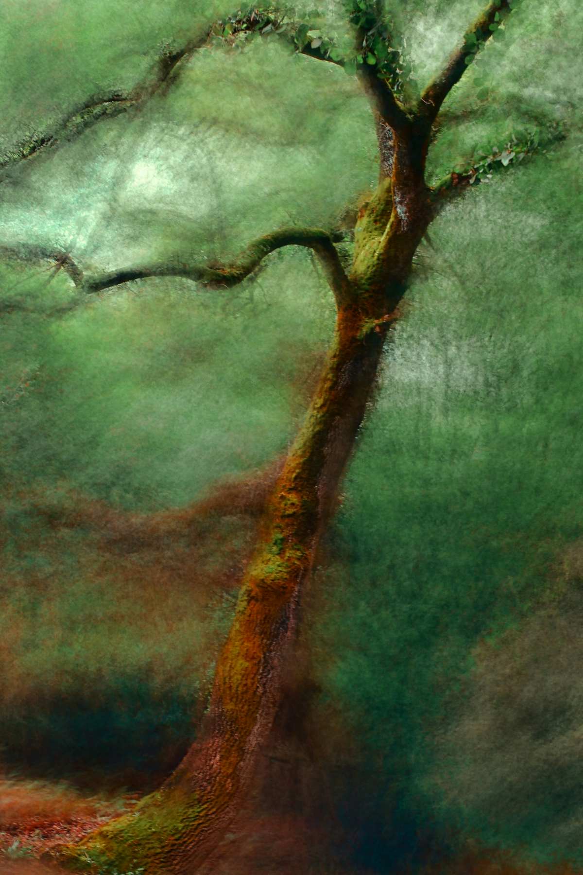 Enchanted-Ecology-Rereading-Grimm’s-Fairy-Tales