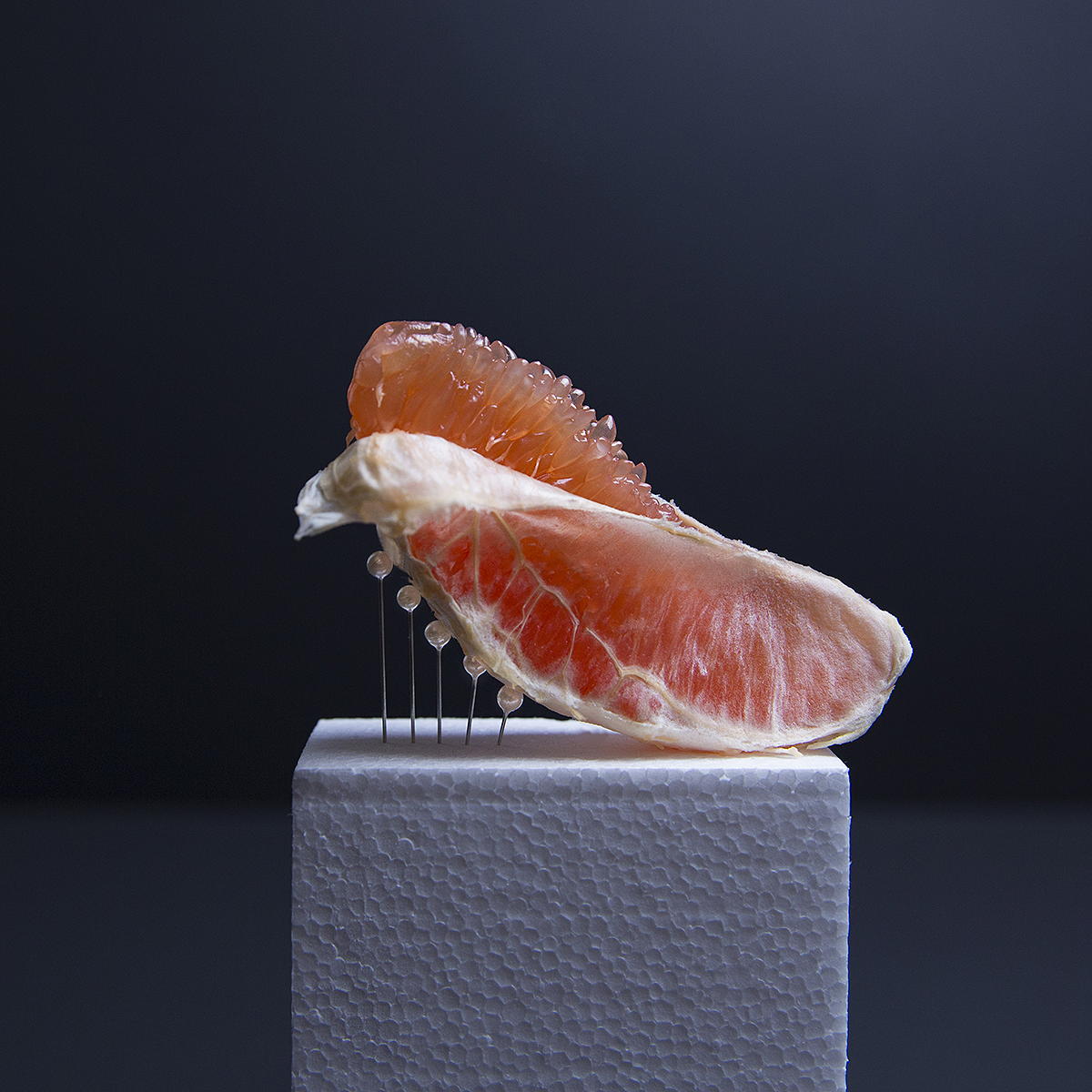 "Forbidden Food" by Ana Straže