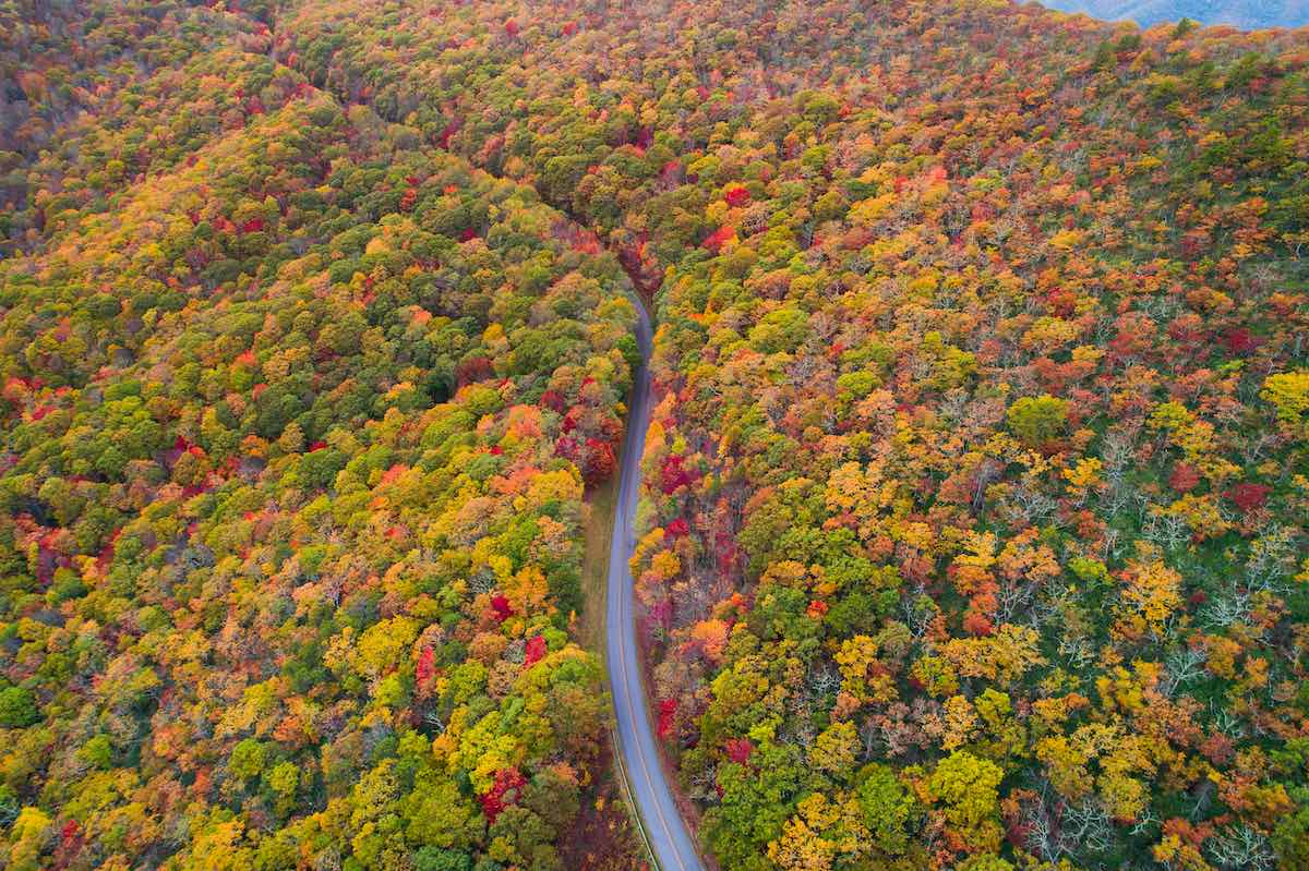 Blue Ridge Path