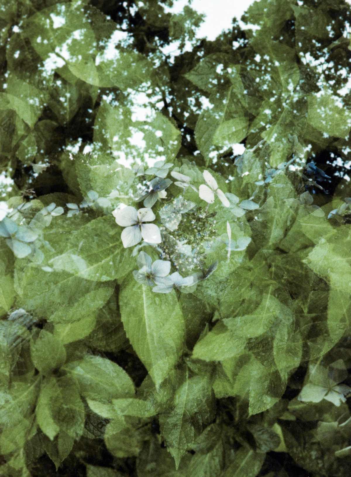 Poetry-Books-to-Say-Hello-to-Spring