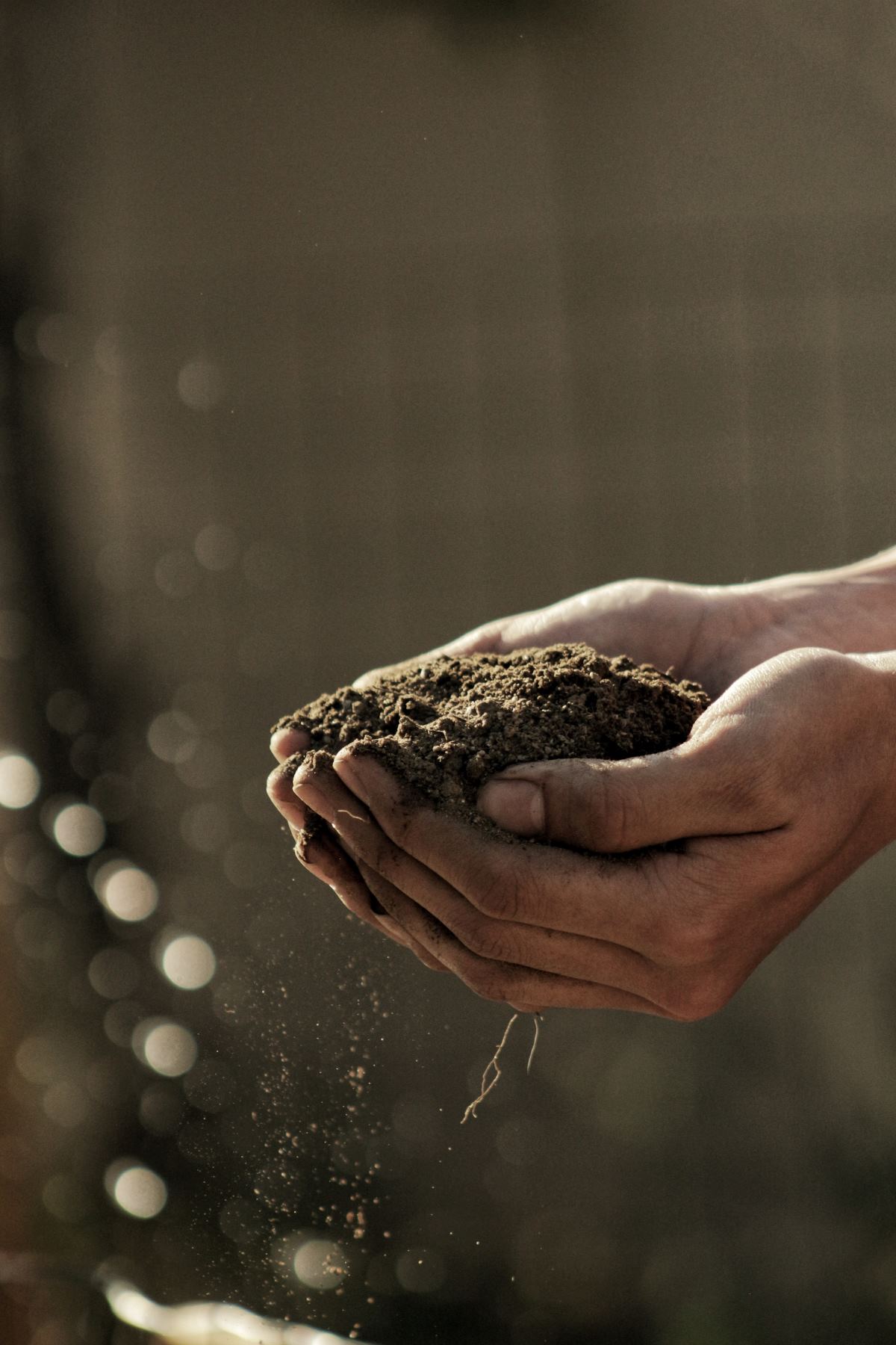Regenerative Agriculture.