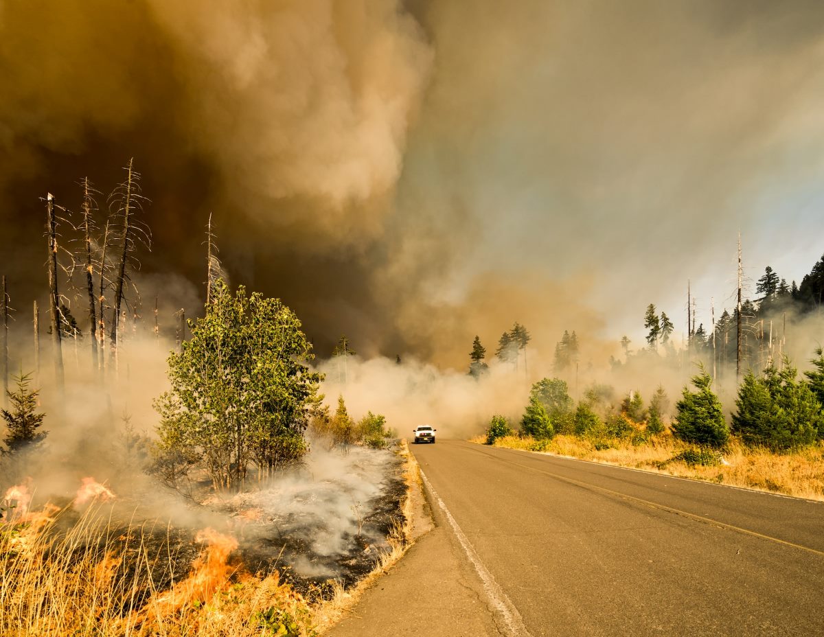 Devastating Wildfires 2023.